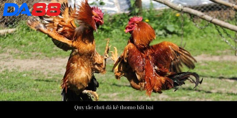 Quy tắc chơi đá kê thomo bất bại